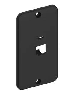 TAMPA 1 RJ PVC 1” P/ CX ENTRADA PT 