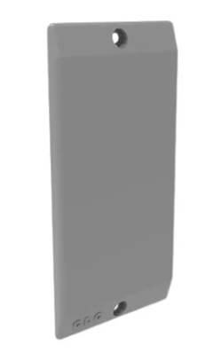 TAMPA CEGA PVC 1” P/ CX ENTRADA PT