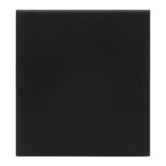 SUBWOOFER VISION SW12